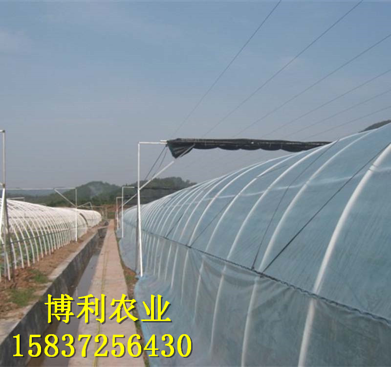 菌類(lèi)大棚13