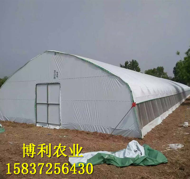 菌類(lèi)大棚15